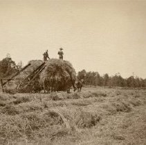 Omc1985.008.080 Image 600dpi